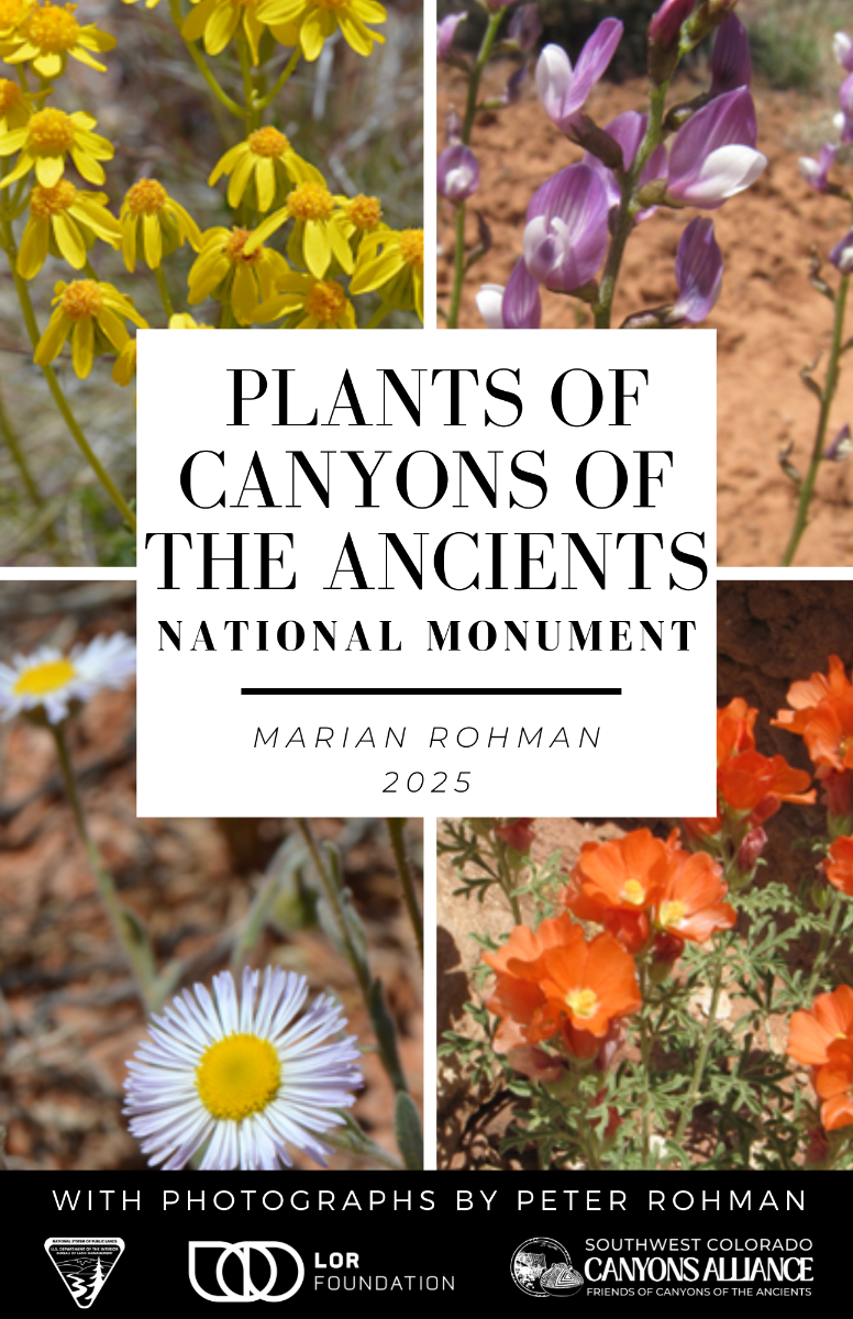 Plants of CANM Cover