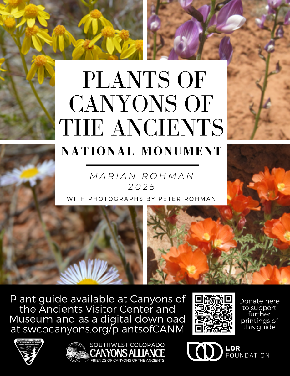 Plants of CANM